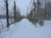 Усть-Кут.RU : зима2006_1
